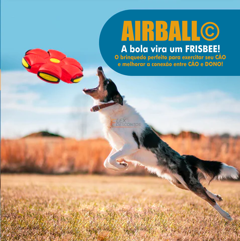 Bola Voadora para Cães - Airball©